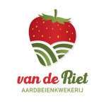Aardbeienkwekerij van de Riet